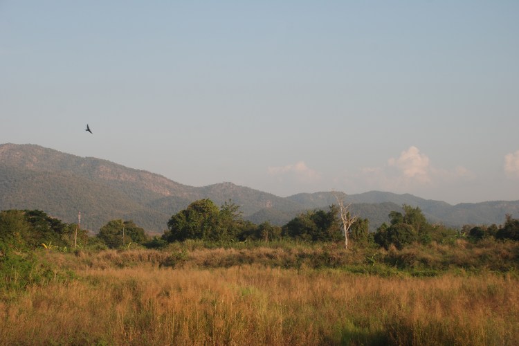 Around the Doi Saket, Studio 88 Artist Residency, Chiang Mai