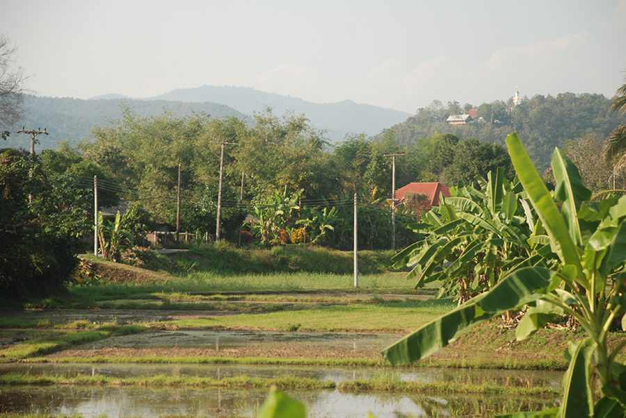 Around the Doi Saket, Studio 88 Artist Residency, Chiang Mai