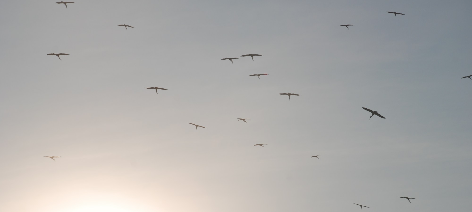 Studio 88 Artist Residency Chiangmai