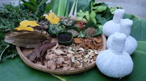 Fresh food sourced locally at Studio 88 Artist Residency, Chiangmai