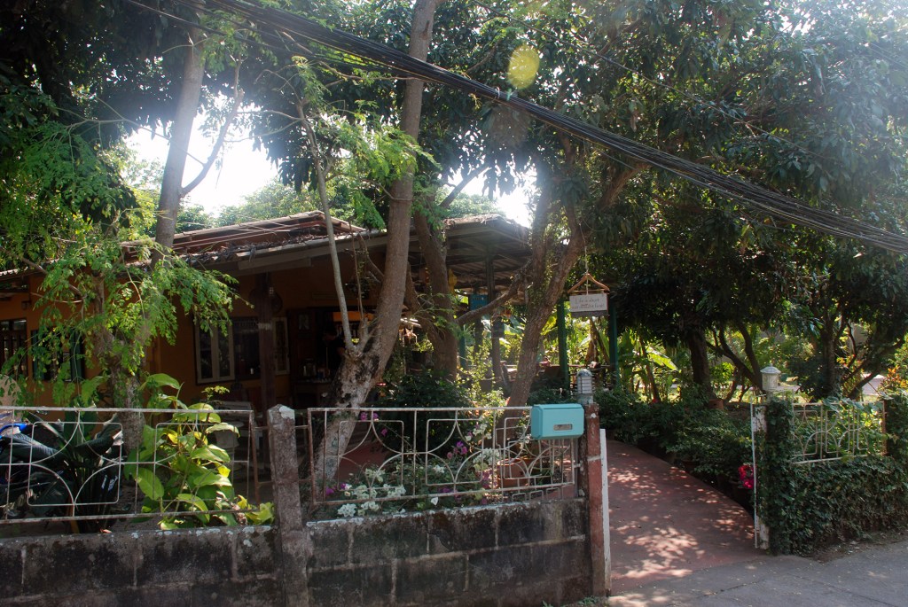 Yellow House coffee, Studio 88 Artist Residency Chiang Mai