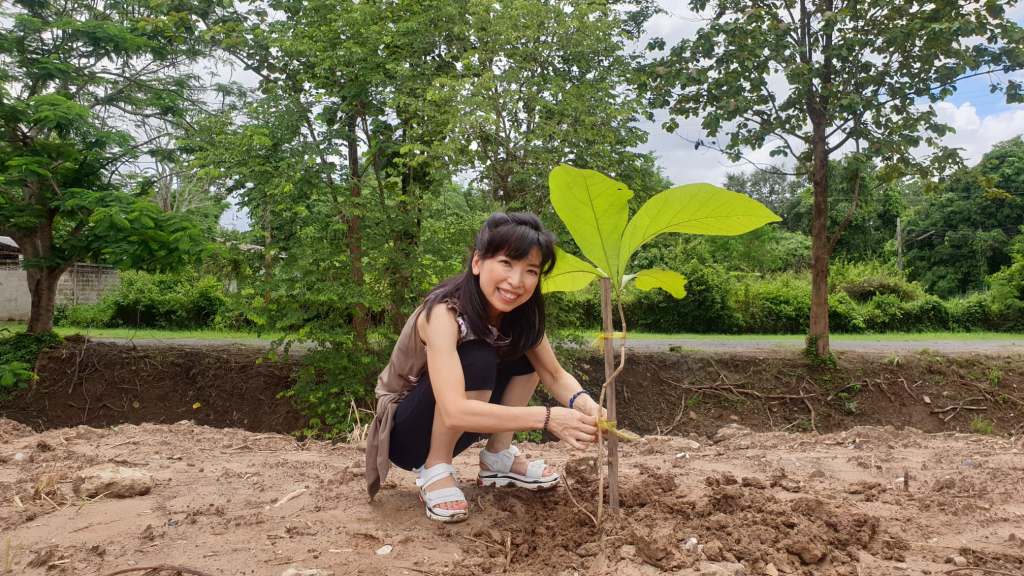 Rui Matsunaga planting a teak tree at Studio 88 Artist Residency, Chiang Mai