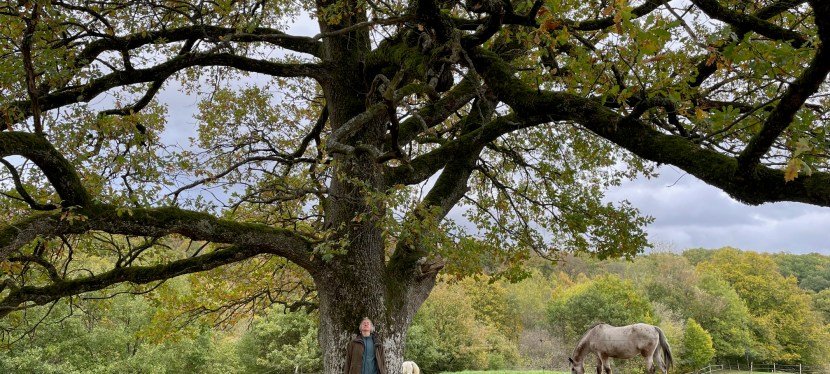 Connection with nature and its healing&nbsp;powers