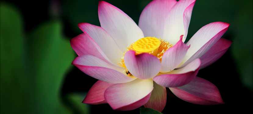 Open call: Relax & Create Artist&nbsp;Residency