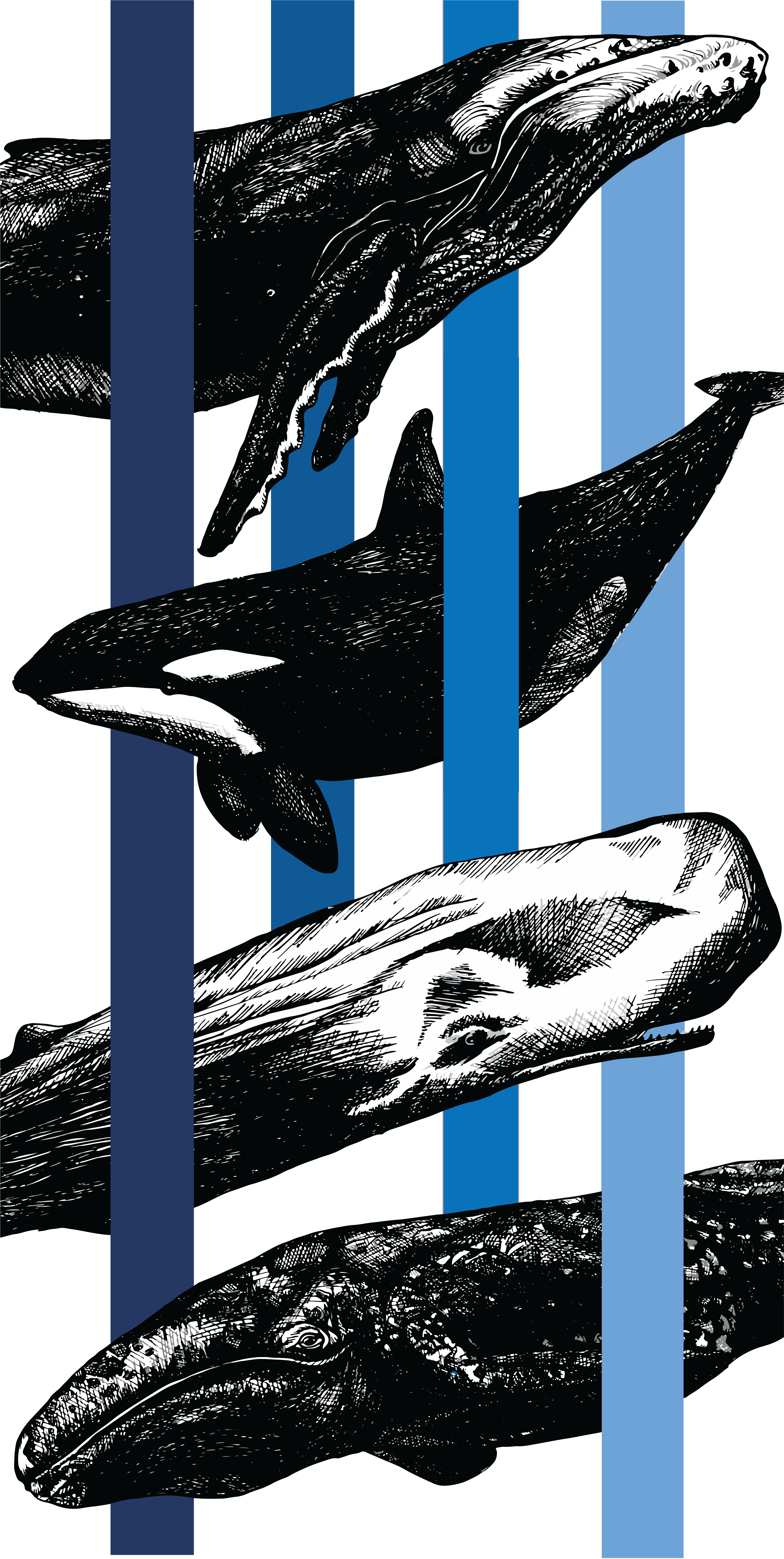 Sara Wolman – Returning Artist-In-Residence – Studio 88 Artist