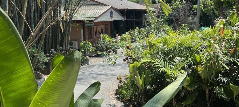 OPEN CALL: Studio 88 Summer Artist Residency&nbsp;2026