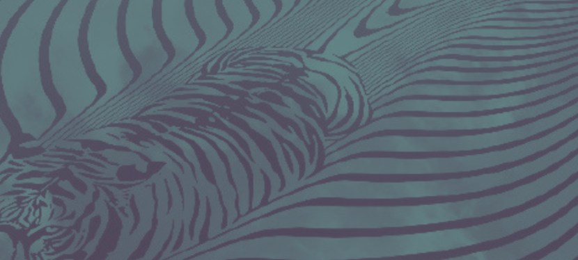 OPEN CALL: SensoryScapes 2026